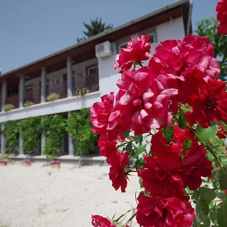 Oazis Apartman