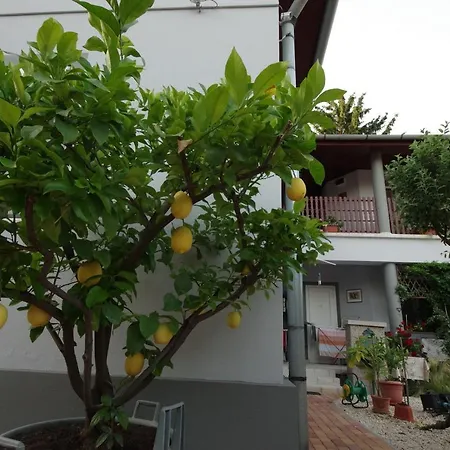 Oázis Apartman Appartamento